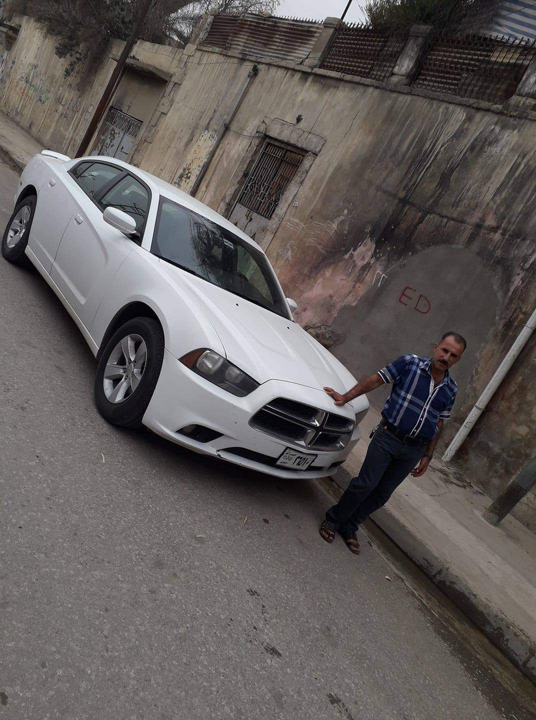 ��� ������