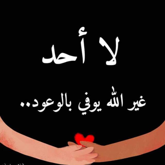 Om Ali_LGnjW